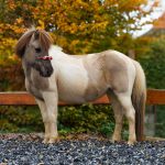 1124be04-6ff1-4404-8542-dde0fca465f7