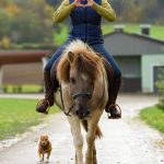 73ed8688-f71a-490f-b06c-eff1f50d349e