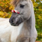 80ac0d7e-a356-4146-833a-b7c078fb9d58