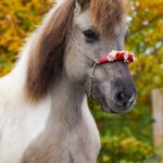 877ab3de-b1c5-4f09-9f9a-ba35480afebf