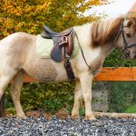 9900b9f9-e866-4c7f-93c2-2e322468fff2