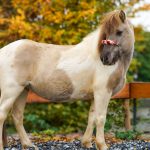 ac5ed38a-020d-48de-b294-d015e695959b