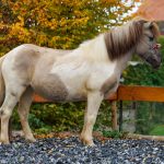 ac93e3b8-191c-452d-ba60-3993868c2759