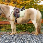 c514a585-59b4-4b7b-9e76-6bd30884a888