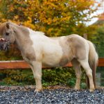 e82506e1-3131-4c05-a08b-872fbc8c7603