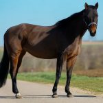 ef1ef814-c48a-4209-8730-fedad13c4fe9