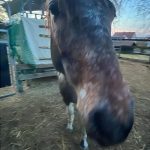 0793fc9a-dc0d-46c6-a41e-1c87c9fe53e7