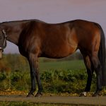 1a9100ea-c582-4cc9-b3ba-9067ece24800