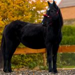 53b143fa-8307-4d3a-b188-0b4722ad11c2