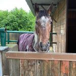 66643177-f3fe-4636-bc89-27c3ddd91813