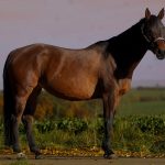 73c29b82-3678-4fc1-b2c6-f1fd6554e780