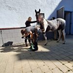 9a5aedce-4076-40c6-80e7-9973c3f0f0b0