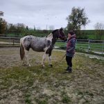 f198c1dd-3275-46bf-8325-4d8bb191064c