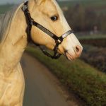 0f897213-23fc-4b84-a930-cdb33febd5d3