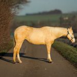 3d360926-96db-4963-a4ba-d1716f38a94c