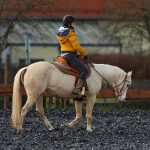 4c1b12a4-90e4-451f-bb5a-3d6019d4ffd8