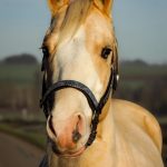 a3241bbd-072a-474a-9fa9-448354210bdb