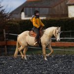 bd3fba8c-c5de-4dea-b29e-9be49654a41e