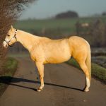 cc572e6d-20c9-467b-96eb-a4752ad45a9c