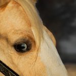 d016712c-467b-409d-b8cd-ac2db12bb390