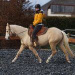 f35692f8-b438-4aa1-8d9b-d6f2bacdc75f