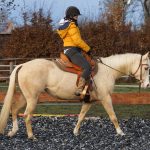 faaea483-ccef-4148-9bd4-d5388dc2359f