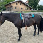 0c5b99be-4399-46a5-aeb6-950464216943