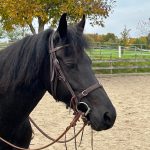 1368cb4d-5bb2-4205-88b2-6d90cc365a56