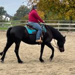 1ed41585-ce34-4053-9b2d-9c6900b7fad7