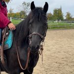 2115864c-d86a-4ae4-b61a-20f86de0e517