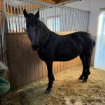 420148b0-c575-44ec-995b-c2a465c03c81