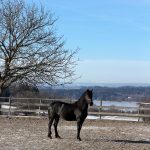 835feebe-24d3-4c03-a061-ccd9c3a79256