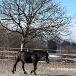 cbb0f4fd-0578-45a7-9f8a-62d41970a6c4