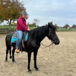 d5a97e05-f0af-4809-b760-1865431114b1