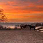 f6228761-43ef-4041-affe-732d77f3ce21