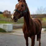 a8c00b57-98ab-46c7-9be1-b6d7dcbd3539