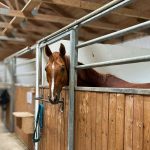 f4563613-74f2-4c04-8ea7-e96159618d70