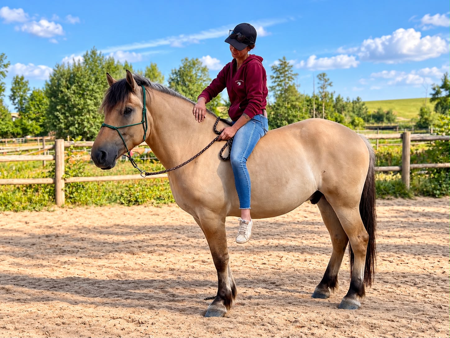 Anne Westhaus sitzt ohne Sattel auf einem Falben auf dem Reitplatz