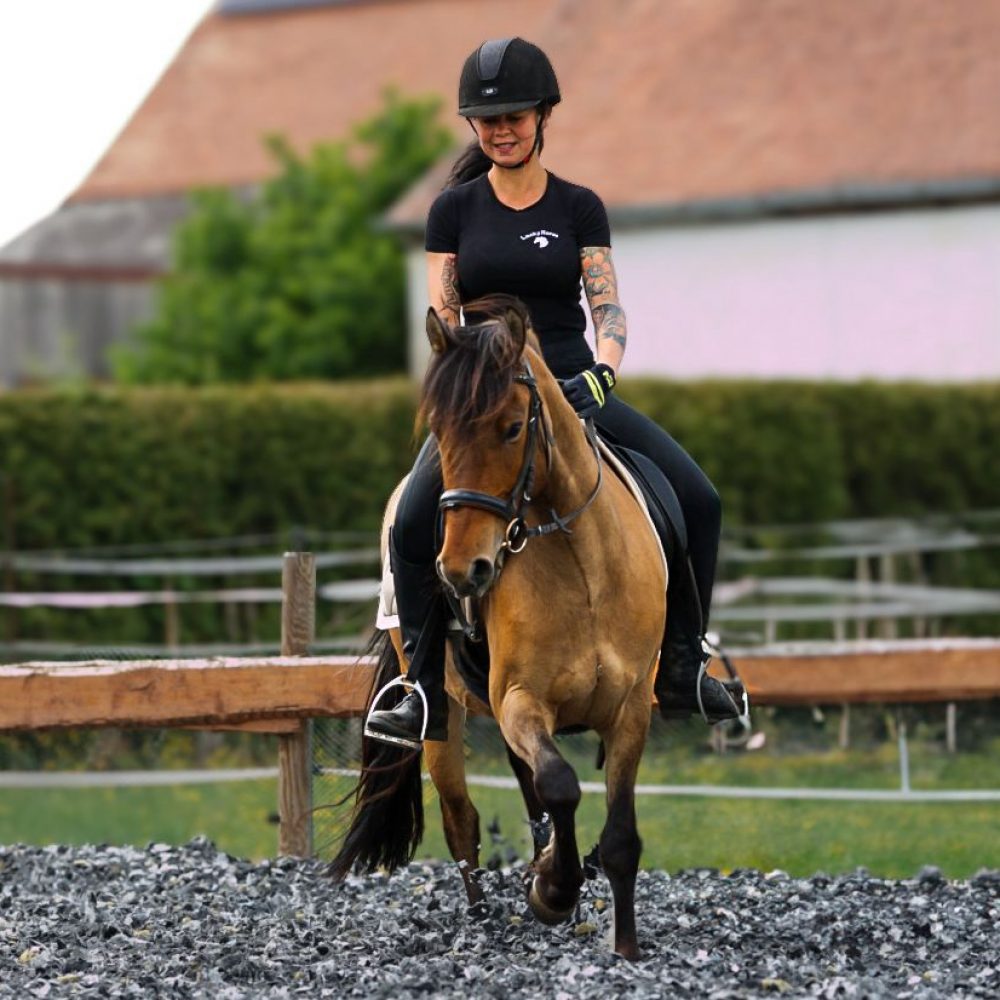 622430fa-374a-44f9-95c4-4d0bfc85c8f7 622430fa-374a-44f9-95c4-4d0bfc85c8f7