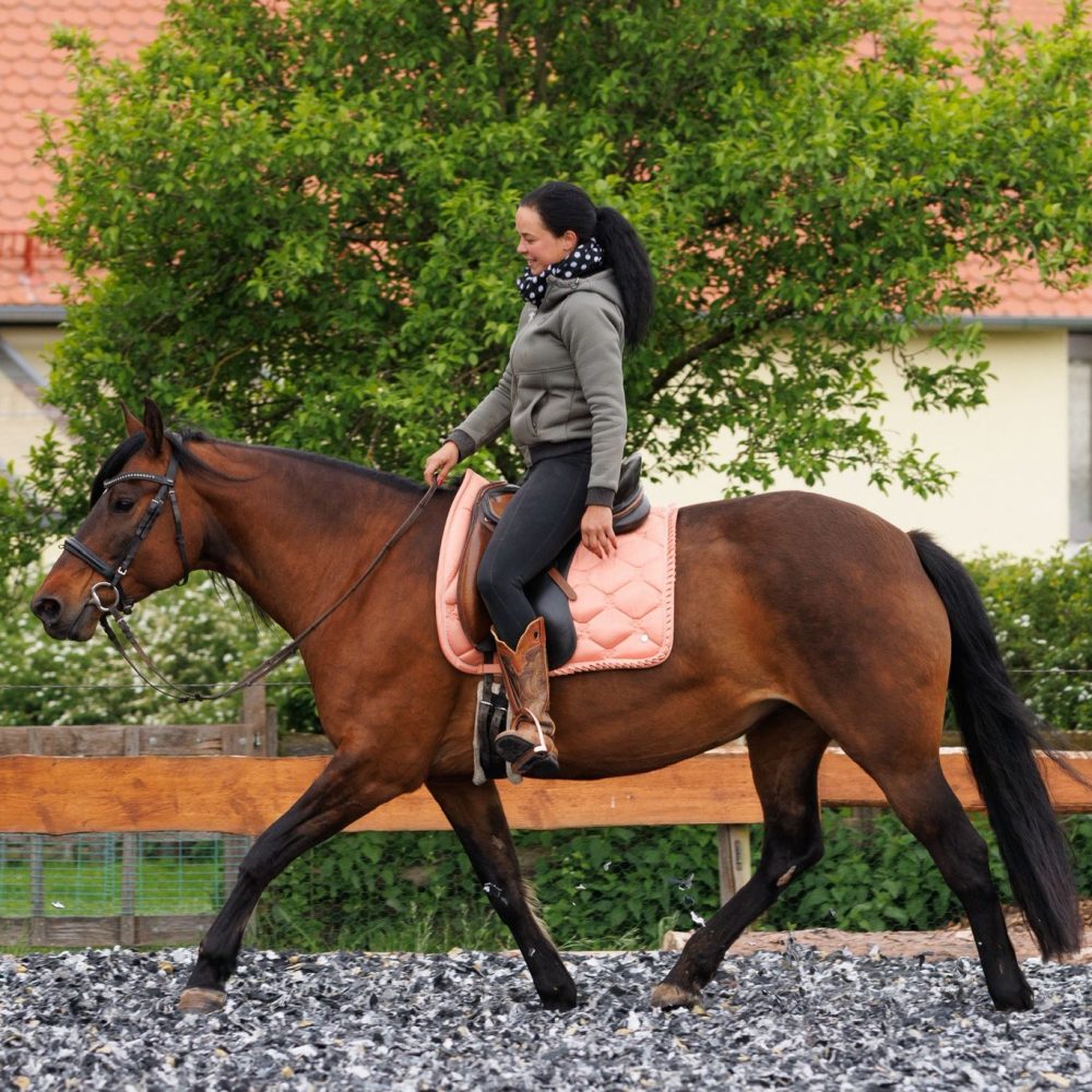 b2e3a891-a9d6-471f-807c-532c75933295 b2e3a891-a9d6-471f-807c-532c75933295